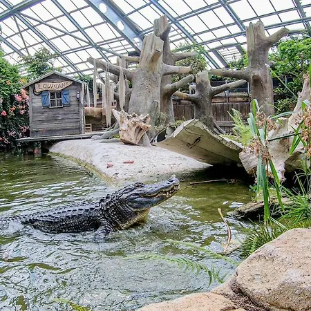 Le De Constance 아파트 *